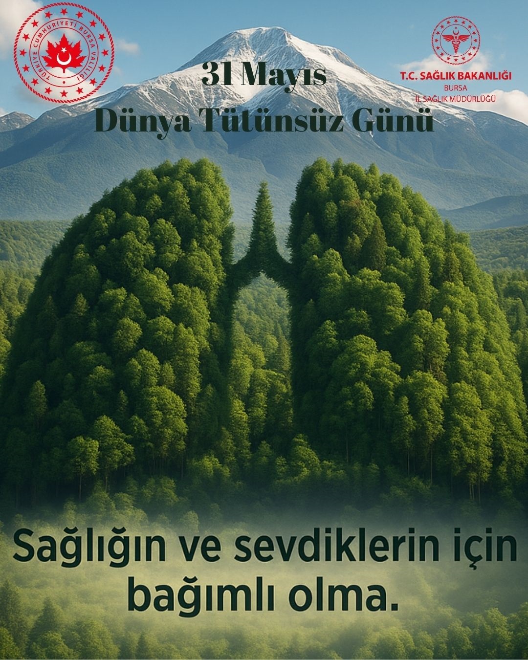 31 Mayıs Dünya Tütünsüz Günü